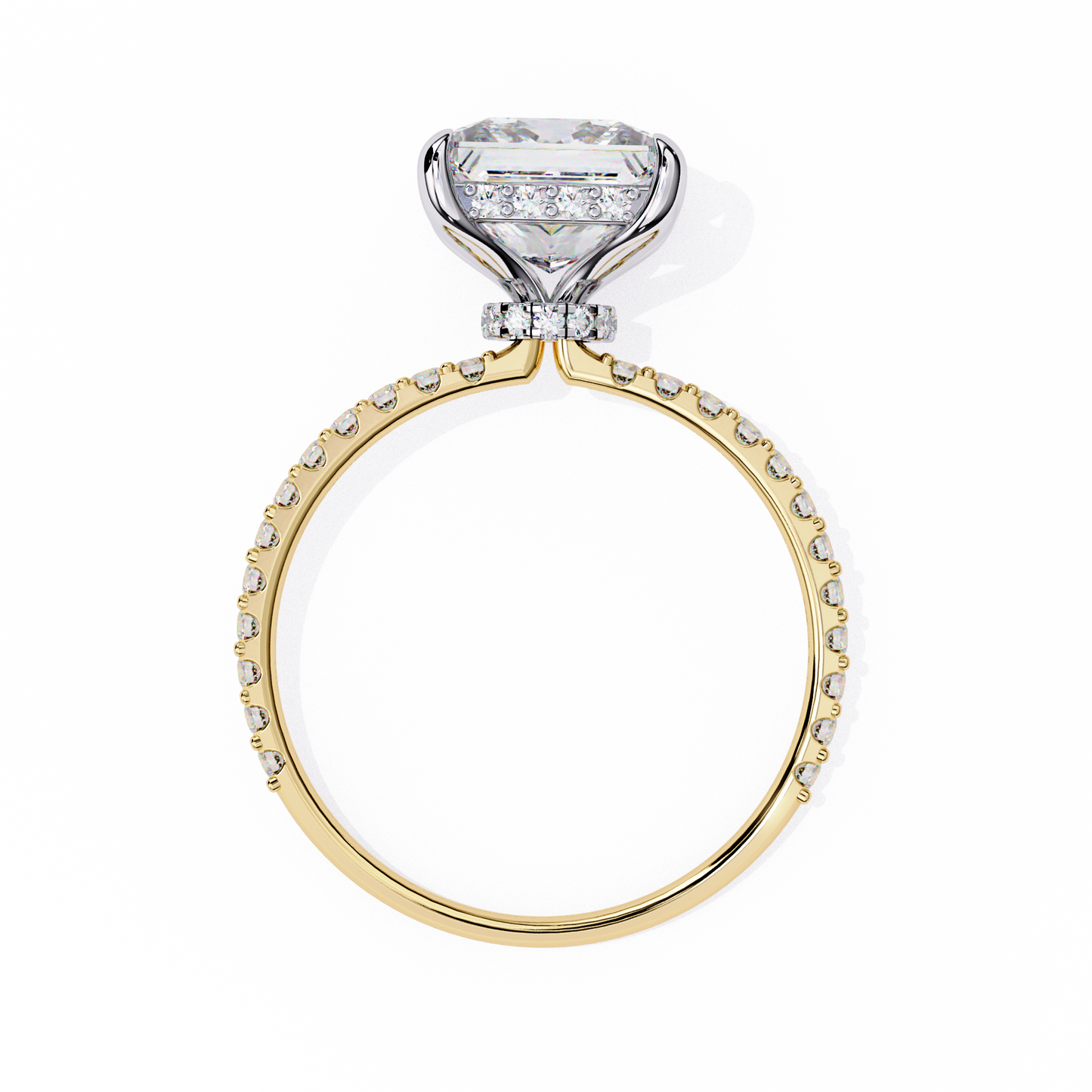 The Hailey Princess Modern Halo Engagement Ring